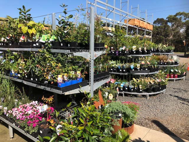 Blue Gum Garden Centre in Cowes